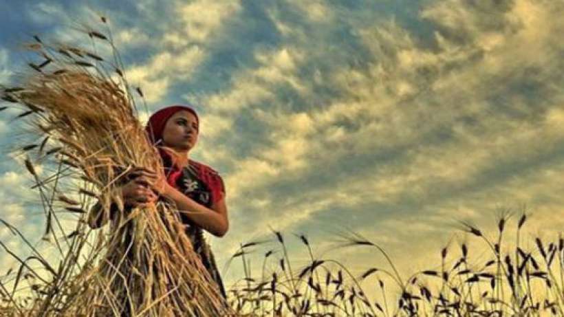 15 Ekim Dünya Kadın Çiftçiler Günü: “Toprak ana dertli”