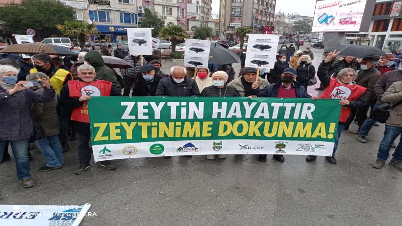 Burhaniyeden yükselen ses: Zeytinime dokunma