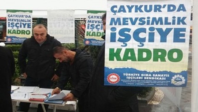 Çaykur’da 'Mevsimlik İşçilere Kadro' için imza kampanyası başlatıldı