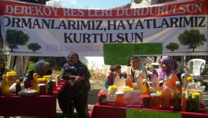 Dereköy'de çam balı, kiraz ve zeytin RES'e direniyor