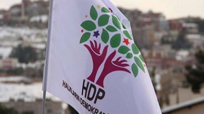 HDP'yle uluslararası dayanışma sürüyor