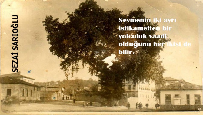 "Her çocuğun birlikte büyüdüğü bir ağacı vardır..."