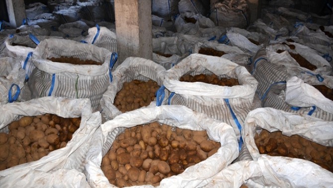 Patates üreticisi isyan ediyor: patatesler depolarda çürüyor