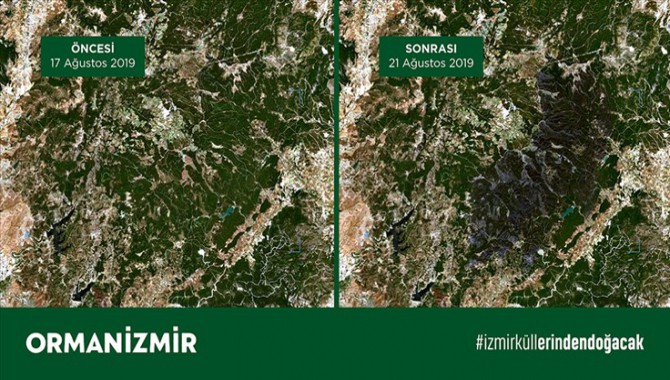 İzmir’deki yangında Karşıyaka ilçesi büyüklüğünde bir orman alanının yandığı tahmin ediliyor