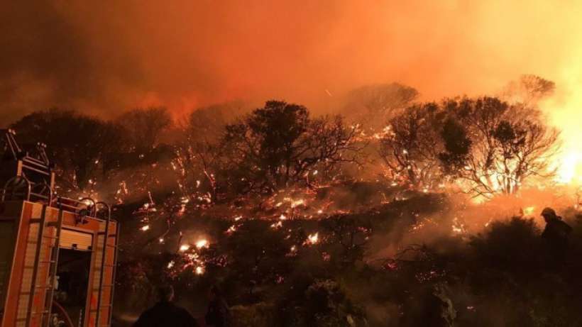 Kaş'ta orman yangını