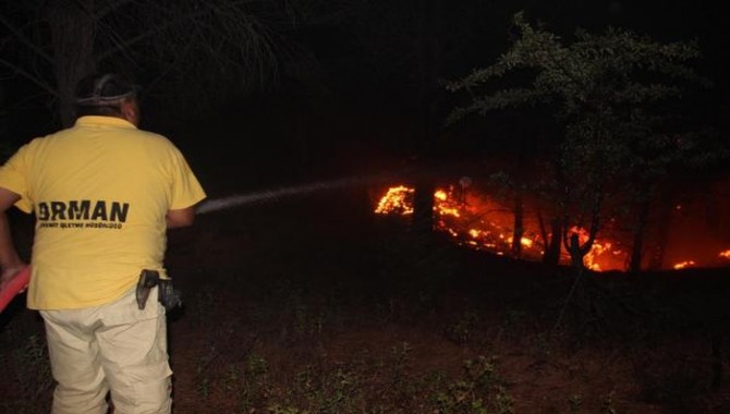 Kazdağları orman yangınında 40 hektar alanın zarar gördü