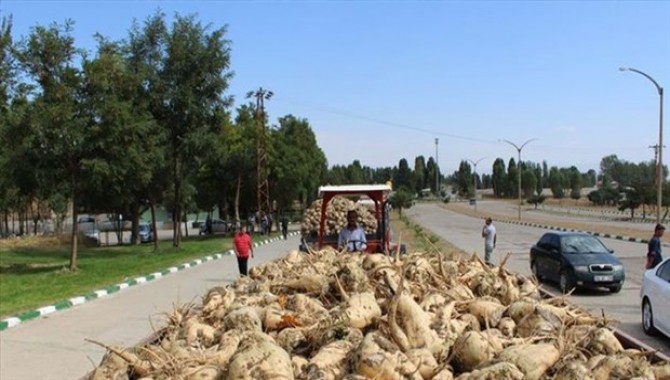 Muş Şeker Fabrikası’nda 406 taşeron işçiden 346’sı işten çıkarıldı