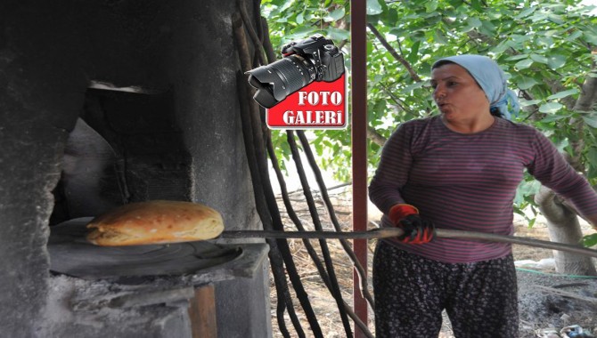 Seferihisar Tarım Şenliği başlıyor