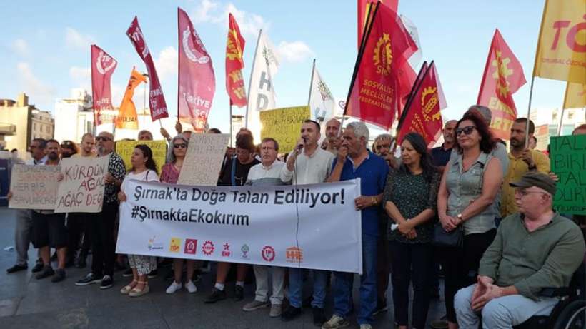 Şırnak'taki doğa katliamı protesto edildi