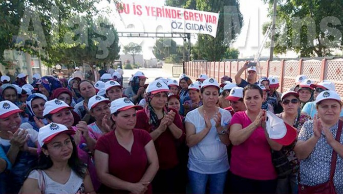 Tariş'te 200 işçi greve başladı