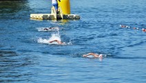 Foça Açık su yüzme şampiyonası başladı
