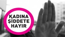 Kadın Dayanışma Vakfı: 355 kadın şiddet nedeniyle başvuru yaptı