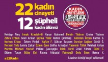 Şubat’ta 22 kadın öldürüldü