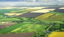 Tarım Bakanı: Ekilmeyen araziyi devlet kiraya verecek