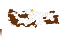 Türkiye'nin referandum haritası: Büyük kentler 'Hayır' dedi