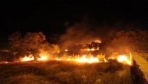Yunanistan'daki orman yangınında 50 kişi yaşamını yitirdi