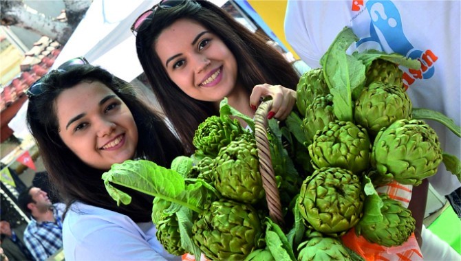 Urla enginar festivali başladı