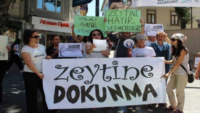 'Zeytinliklerin talan edilmesine izin vermeyeceğiz'